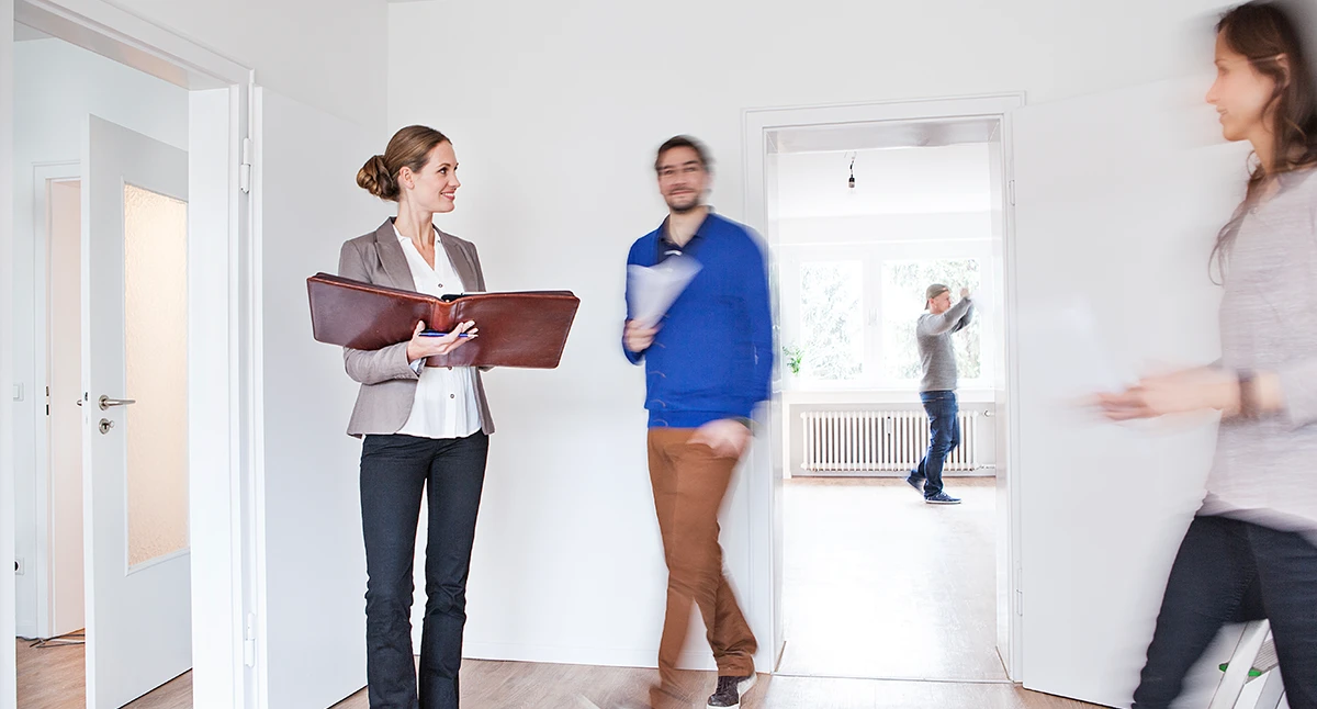 inmobiliaria inmobiliaria